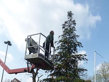 Der Osterbaum in Morschreuth wird geschmückt. Foto: Thomas  Weichert