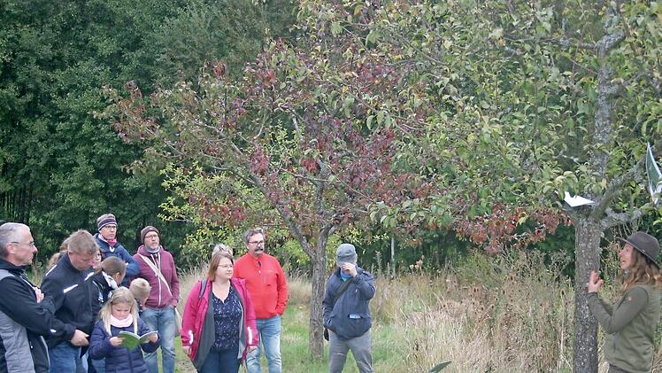 Die Naturpark-Rangerin Katja Winter hatte ein interessiertes Publikum auf einer Streuobstwiese in Kirchlauter.  Foto: Monika Schraut