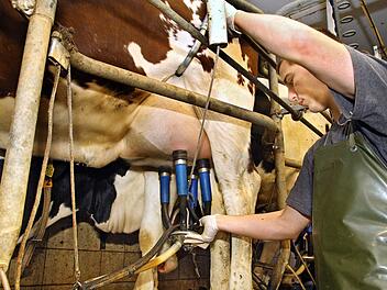 "Ein Gro&szlig;teil der Milch stammt dabei nicht nur von bayerischen Bauernh&ouml;fen, sondern wird auch in heimischen Molkereien verarbeitet", sagt Michael Grundl von der NGG Oberfranken. Foto: NGG