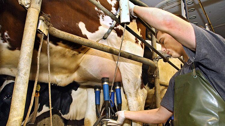 "Ein Gro&szlig;teil der Milch stammt dabei nicht nur von bayerischen Bauernh&ouml;fen, sondern wird auch in heimischen Molkereien verarbeitet", sagt Michael Grundl von der NGG Oberfranken. Foto: NGG
