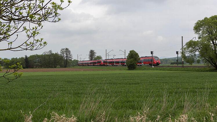 Foto: News5 / Weier