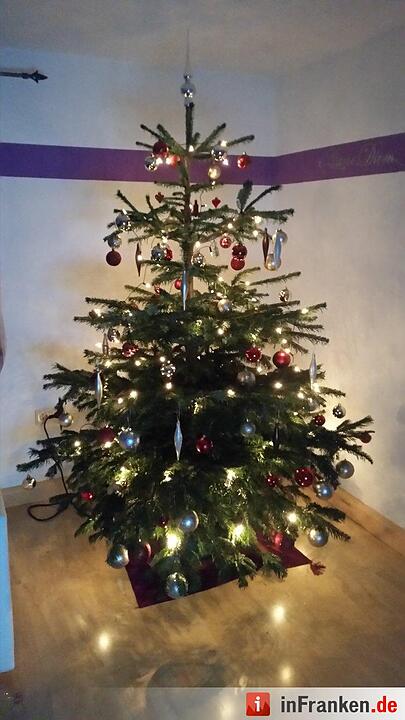 Weihnachten in Franken: Die Christbäume unserer Leser