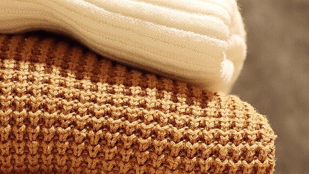 Kleidermotten legen ihre Larven gerne in Pullovern ab.