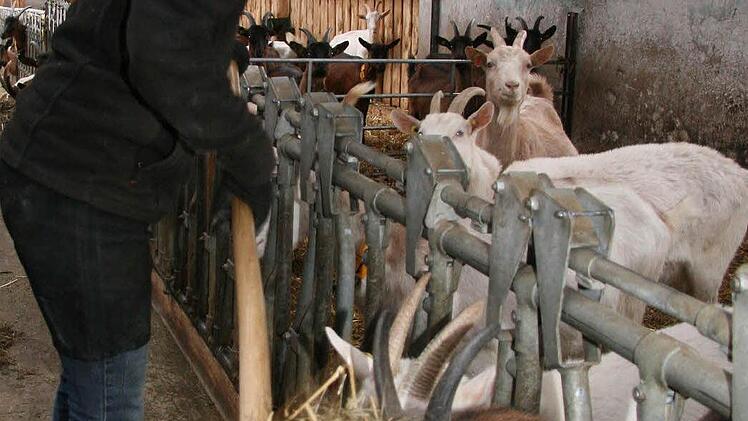 Auch Ehefrau Martina Greim sieht oft nach dem Rechten.