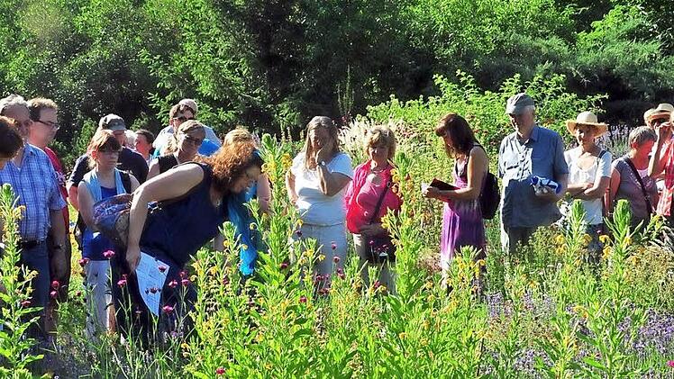 Der Botanische Garten hält sein Aromagartenfest mit vielen Führungen ab. Foto: Botanischer Garten Erlangen