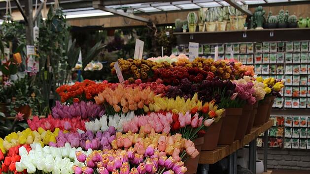 Schwarzenbach: Fr&uuml;hjahrsmarkt findet mit "farbenfroher Vielfalt" statt
