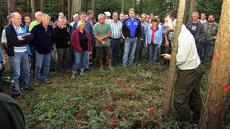 Daniel Schenk zeigt junge Triebe, die rot gekennzeichnet sind. Bäume die zu entfernen sind, sind ebenfalls rot markiert. Foto:  Galster