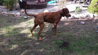 Foto: Tito2578