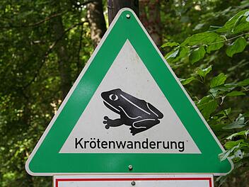 Vorsicht Krötenwanderung: Straßen in Würzburg betroffen