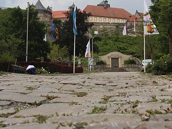 Die Festungsstraße steht bei den Straßensanierungen ganz oben auf der Liste. Foto: Marco Meißner