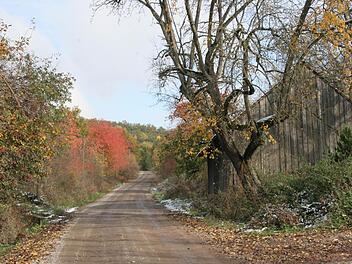 Die Straße zum Streitbaum Foto: fra-press