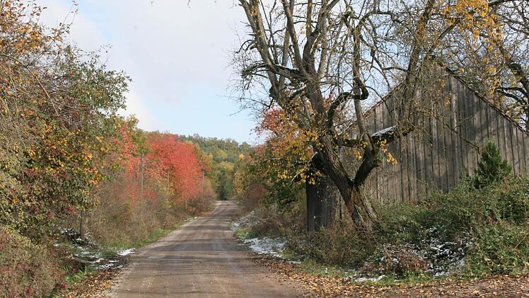 Die Straße zum Streitbaum Foto: fra-press