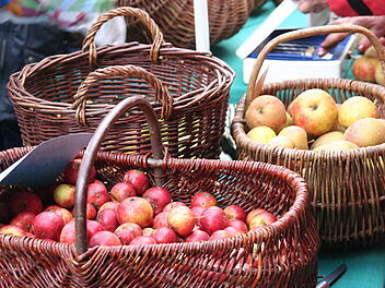 Landkreis Bamberg: Streuobstbörse - Obst von heimischen Wiesen kaufen und verkaufen