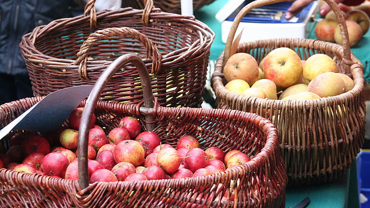 Landkreis Bamberg: Streuobstbörse - Obst von heimischen Wiesen kaufen und verkaufen