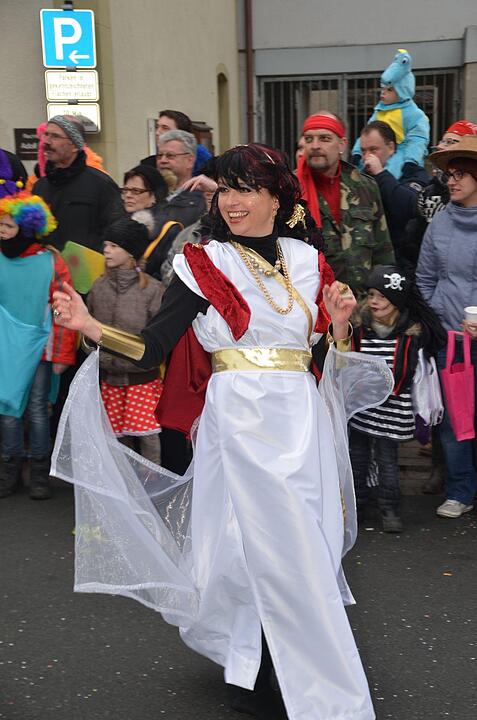 Landkreisfaschingszug 2015