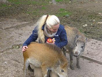 TI-Vorsitzende Britta Merkel schmuste gerne mal mit den beiden Wildschweindamen. Foto: Karin Kraus