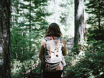 Alleine verreisen - wer Lust auf ein Abenteuer hat muss nicht um die halbe Welt fliegen. Wie wäre es stattdessen mit einem Urlaub in Franken? Foto: Free-Photos/Pixabay