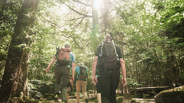 Das Räuberland zählt zu den schönsten Wanderregionen Deutschlands. Auf gut markierten Wanderwegen wanderst du nicht nur zwischen Feldern und kleinen Gemeinden entlang, sondern schlenderst auch durch die schönen Wälder des Spessarts.