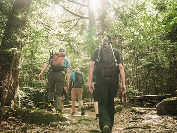 Das Räuberland zählt zu den schönsten Wanderregionen Deutschlands. Auf gut markierten Wanderwegen wanderst du nicht nur zwischen Feldern und kleinen Gemeinden entlang, sondern schlenderst auch durch die schönen Wälder des Spessarts.