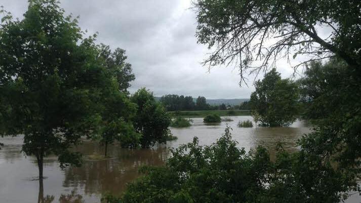 Die Regnitz gleicht hier in Seußling fast schon einem reisenden Fluss. Foto: Carmen Neubig