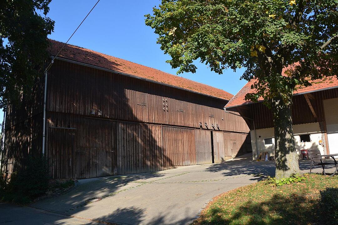 18.11.2015  Fotoreportage Moggenbrunn