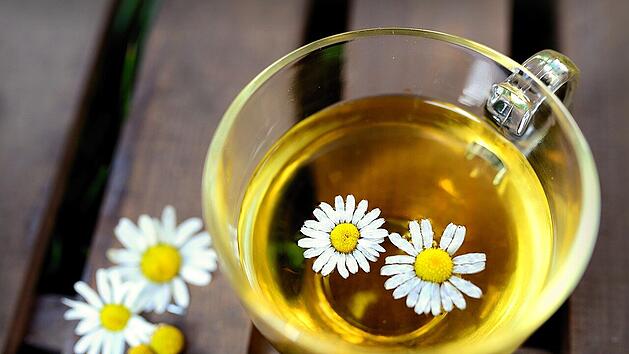 Kamille ist eine wertvolle Heilpflanze, die beruhigend auf gereizte Schleimhäute wirken kann.