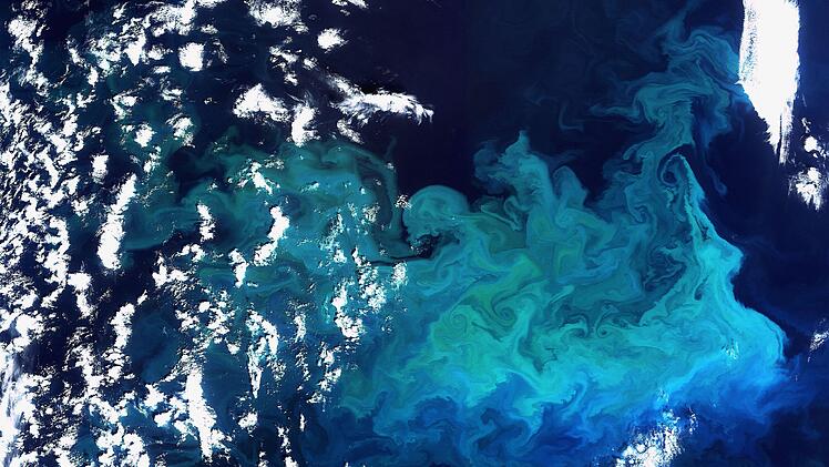 Weniger Plankton durch wärmere Ozeane