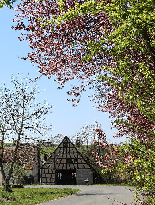 SoS Ermreus im Landkreis Forchheim; Foto: Barbara Herbst