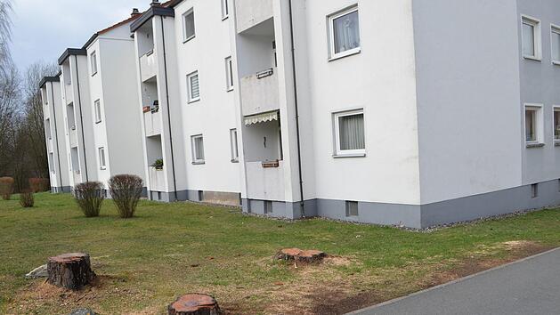 Die F&auml;llung der B&auml;ume, hier im Bild die Baumst&uuml;mpfe in der Siemensstra&szlig;e, wurde bei der Gemeinderatssitzung begr&uuml;ndet. Foto: Thomas Micheel