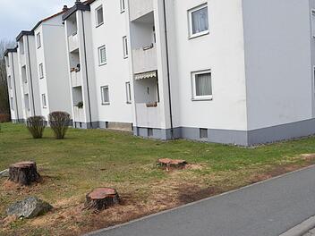 Die Fällung der Bäume, hier im Bild die Baumstümpfe in der Siemensstraße, wurde bei der Gemeinderatssitzung begründet. Foto: Thomas Micheel