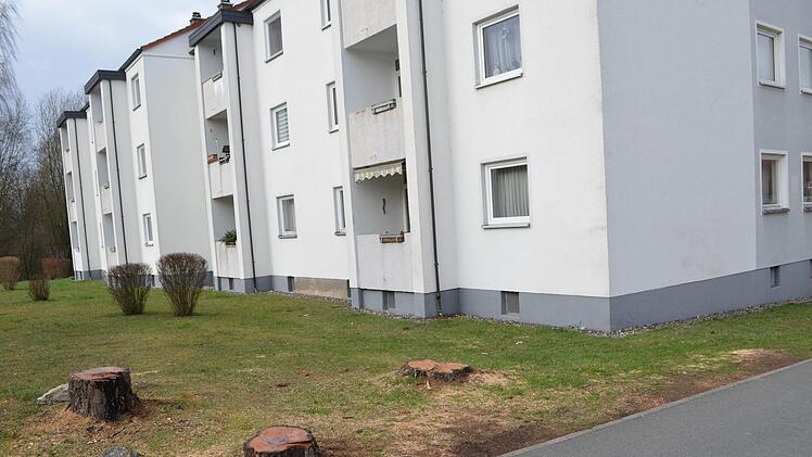Die Fällung der Bäume, hier im Bild die Baumstümpfe in der Siemensstraße, wurde bei der Gemeinderatssitzung begründet. Foto: Thomas Micheel