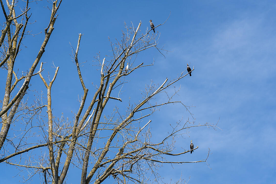 Wundersch&ouml;ne Naturfotos aus Bamberg.
