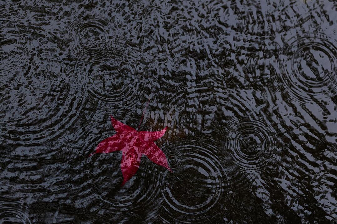 Regen in K&ouml;ln