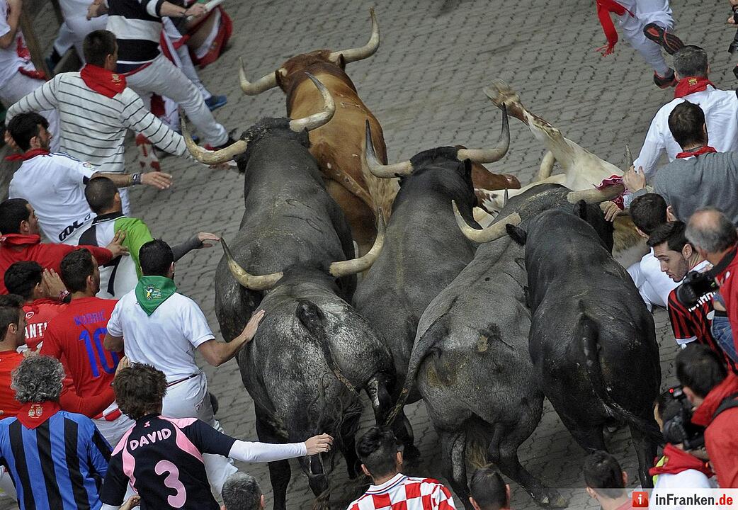 Stierhatz in Pamplona