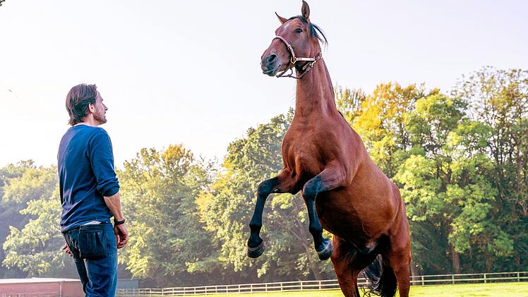 Henry (Oliver Mommsen) hat sich von seinem Lottogewinn dasd Rennpferd "Feelgood" gekauft und hofft, mit ihm noch viel Geld zu verdienen.