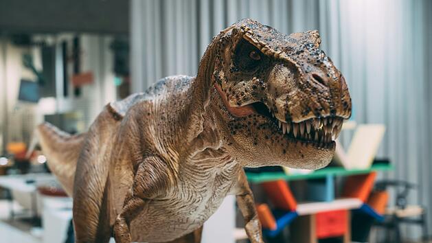 Dino, Dinosaurier, Saurier, Urzeit, Figur, Statue, Angebot