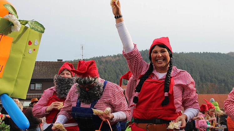Faschingszug in Steinach. Foto: Benedikt Borst