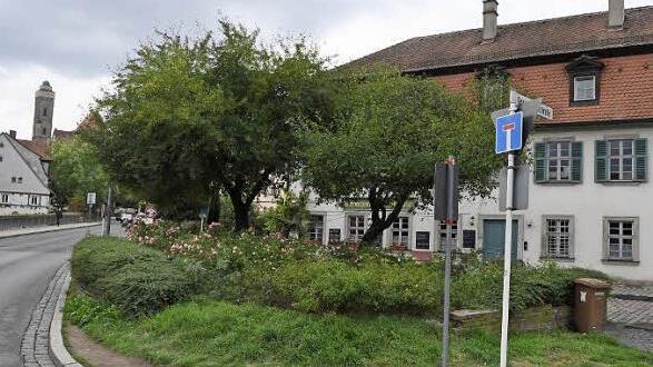 Mitte Oktober stand die Grünanlage vor der Bischofsmühle noch.Foto: Ronald Rinklef
