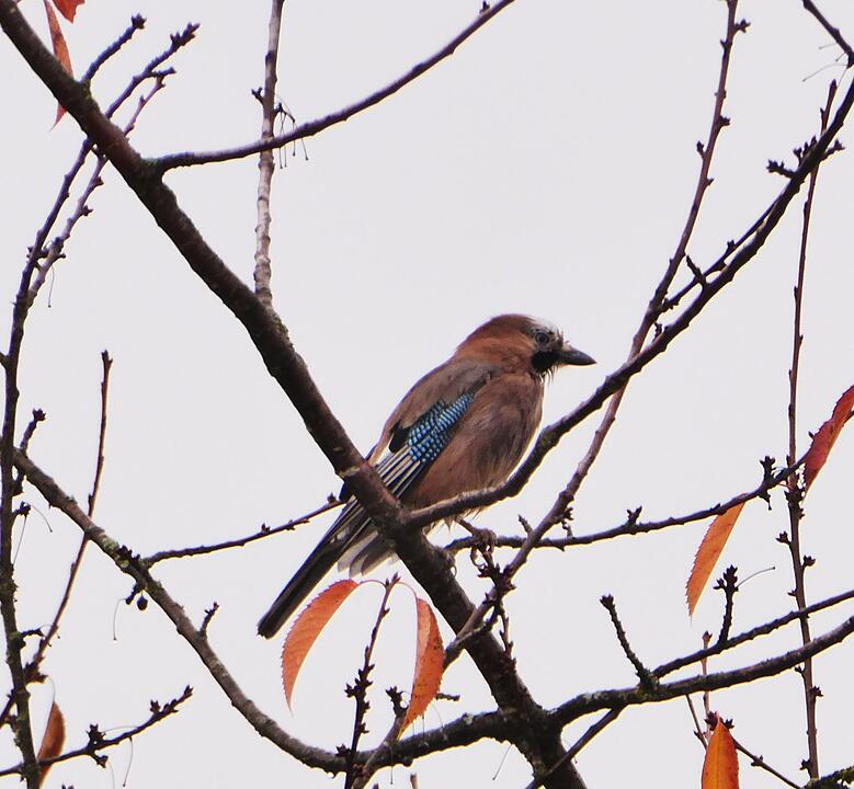 Die schönsten Fotos im November aus Bad Kissingen und Umgebung