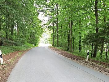 Auf der Ortsverbindungsstraße von Niedermirsberg hoch zum Feuerstein passieren viele Wildunfälle durch die Wald-Straße-Wald-Situation. Foto: privat