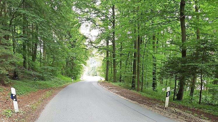 Auf der Ortsverbindungsstraße von Niedermirsberg hoch zum Feuerstein passieren viele Wildunfälle durch die Wald-Straße-Wald-Situation. Foto: privat