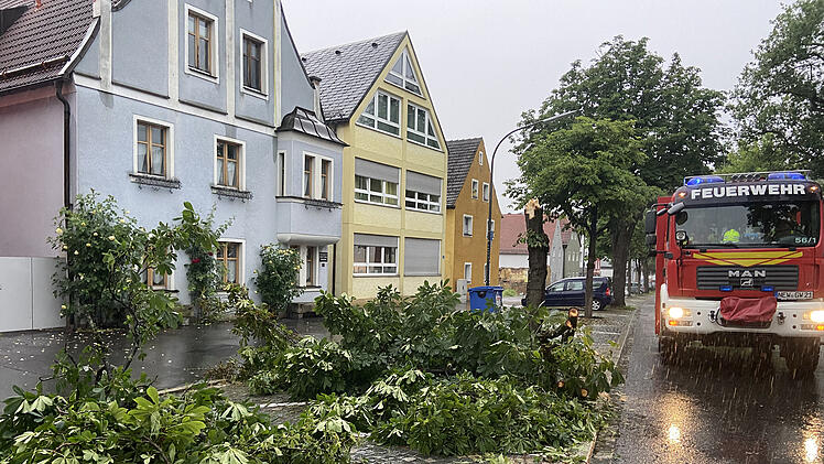 Umgestürzte Bäume und beschädtes Dach: Sturm sorgt für Schäden in der Oberpfalz