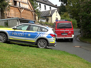 Rind entflieht aus Metzgerei und versteckt sich im Wald