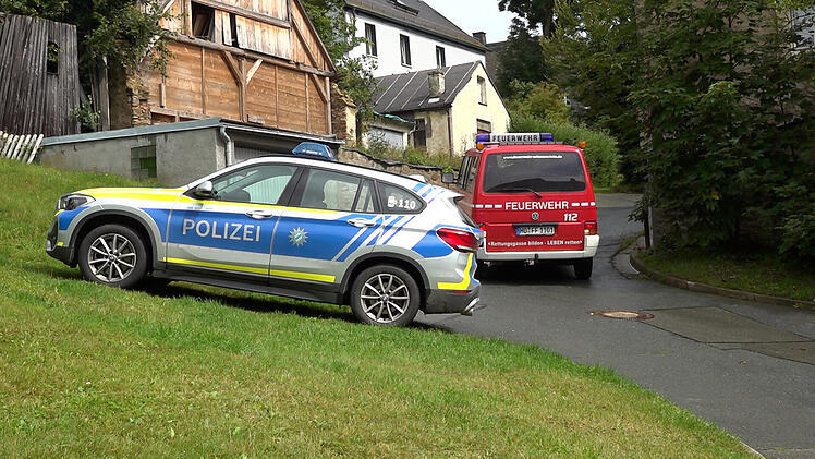 Rind entflieht aus Metzgerei und versteckt sich im Wald