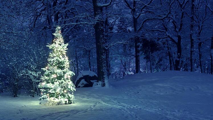 Weihnachten, Winter, Winterzeit, Weihnachtszeit, Vorweihnachten, Vorweihnachtszeit, Abenteuer, Erlebnis, Wanderung, Wanderstrecke, Wanderwege, Wanderroute, Bergwanderung, Schnee, Schneewanderung