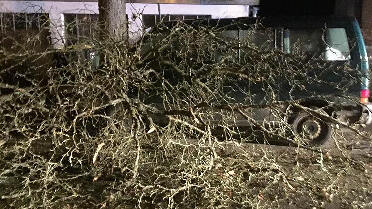 In Ketschendorf fiel ein größerer Ast in der Parkstraße auf ein Fahrzeug. Foto: Feuerwehr