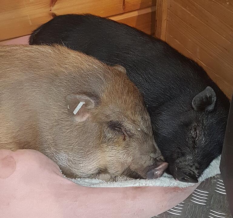 Die schönsten Fotos im Februar aus Haßfurt und Umgebung