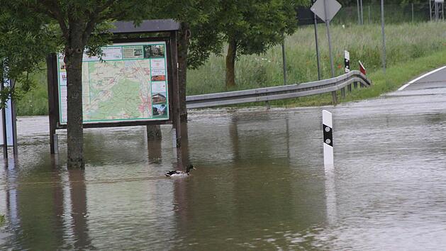 Die Ente auf der Ortseinfahrtsstraße FO 19 nach Hallerndorf. Fotos: Mathias Erlwein