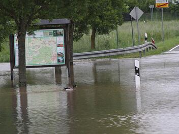 Die Ente auf der Ortseinfahrtsstraße FO 19 nach Hallerndorf. Fotos: Mathias Erlwein