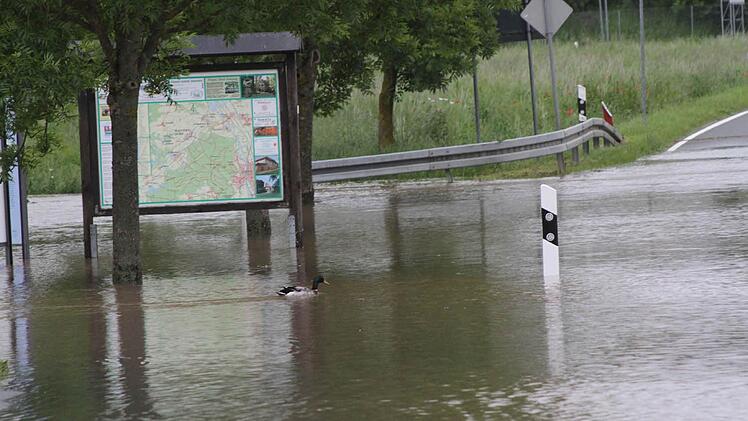 Die Ente auf der Ortseinfahrtsstraße FO 19 nach Hallerndorf. Fotos: Mathias Erlwein